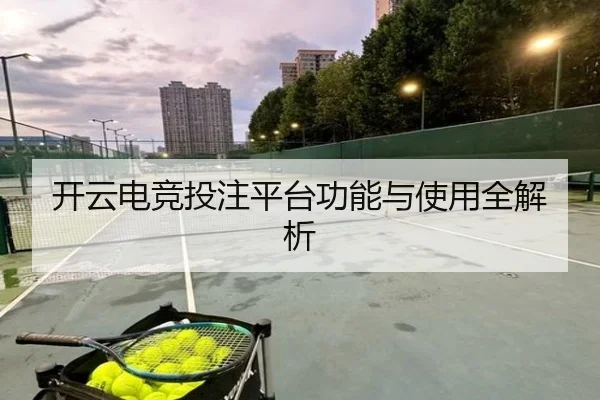 开云电竞投注平台功能与使用全解析
