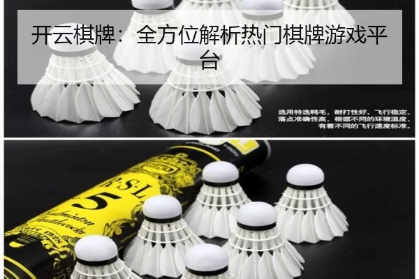开云棋牌：全方位解析热门棋牌游戏平台