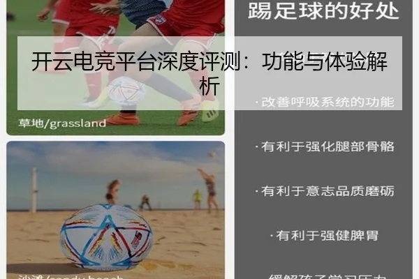 开云电竞平台深度评测：功能与体验解析