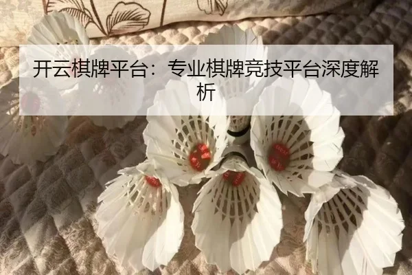 开云棋牌平台：专业棋牌竞技平台深度解析